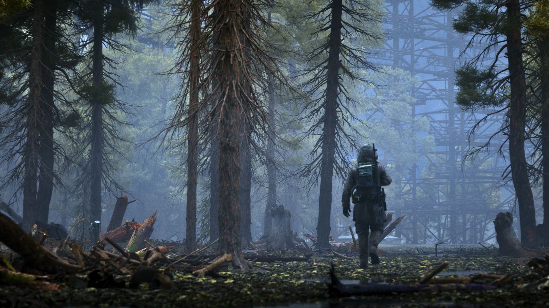 stalker 2 forest walk