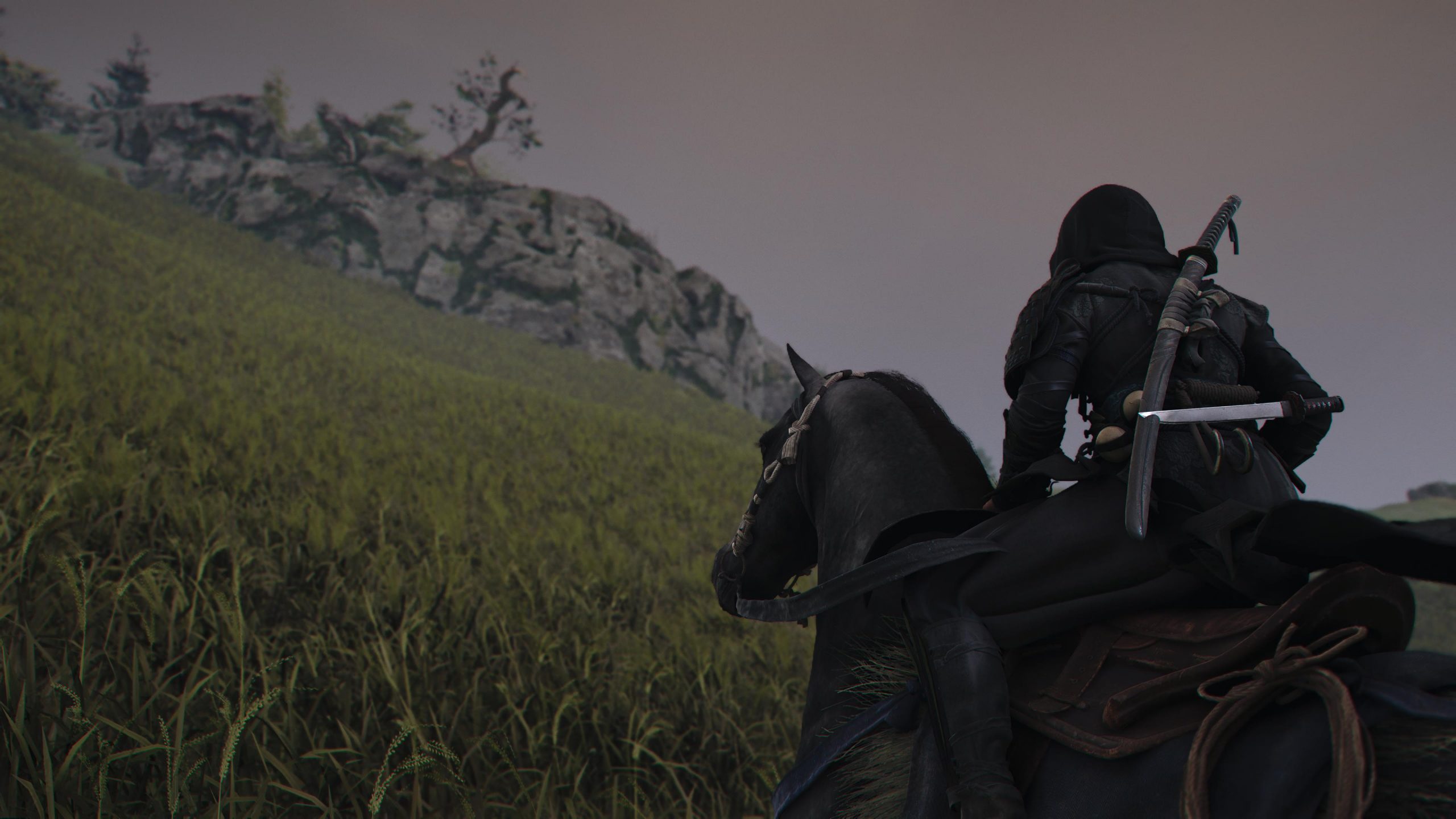 Naoe explores Japan in Assassin's Creed Shadows