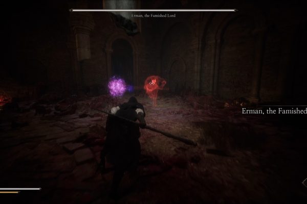 erman the famished lord boss in the relic first guardian