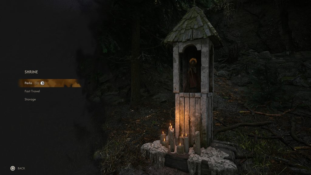 The Blood of Dawnwalker Shrine and its menu to learn skills, fast travel and more.