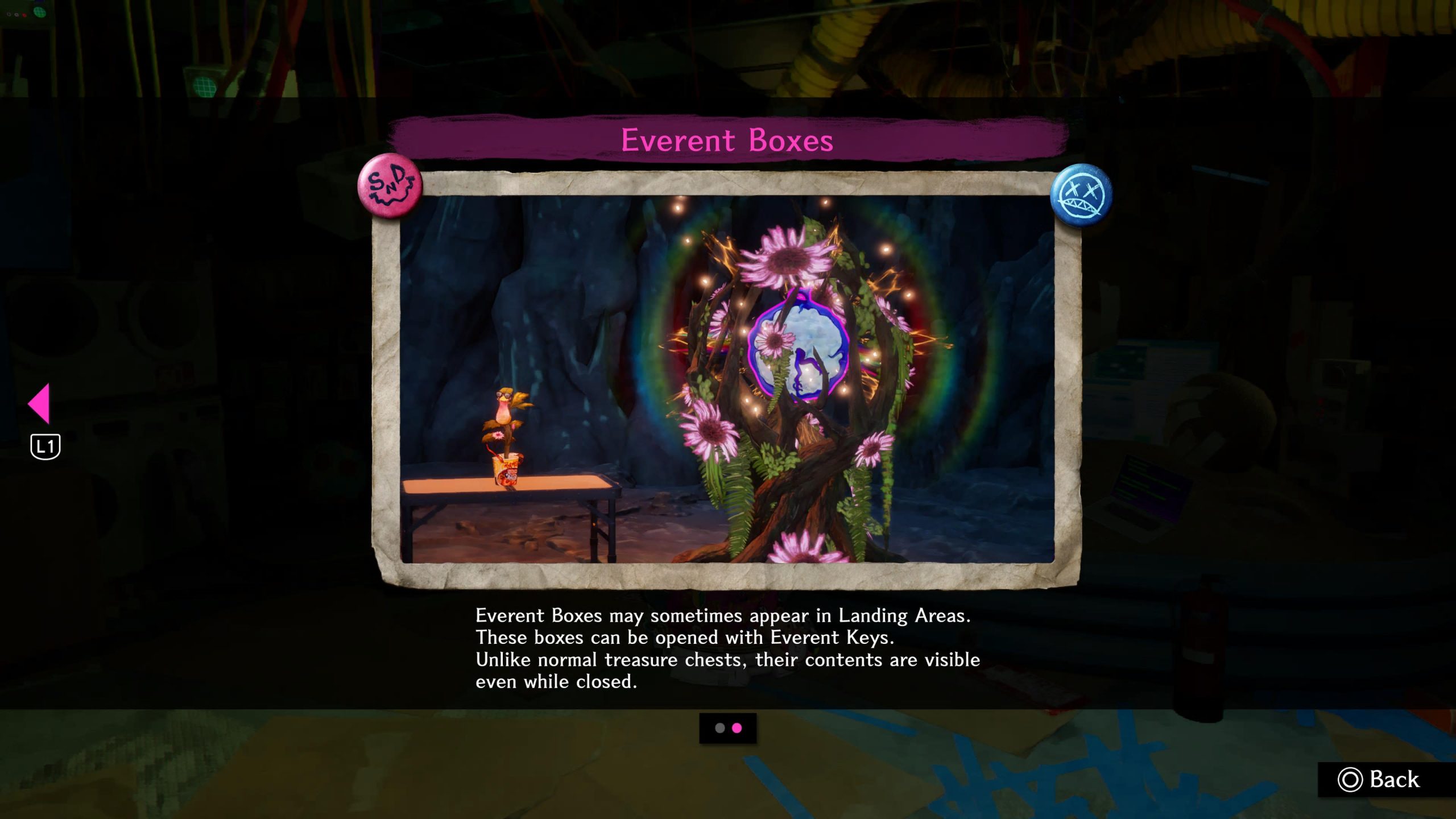 everent boxes in stupid never dies